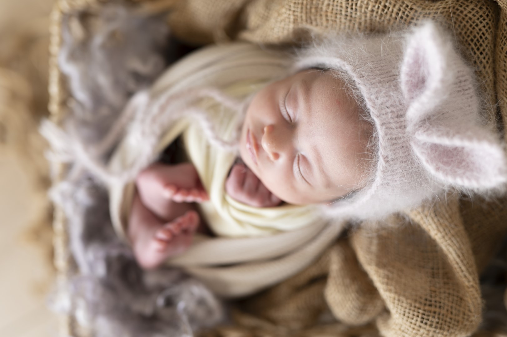 צילומי ניובורן 2